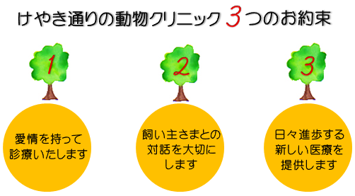 けやき通りの動物クリニック3つのお約束