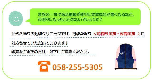 時間外・夜間診療のご案内